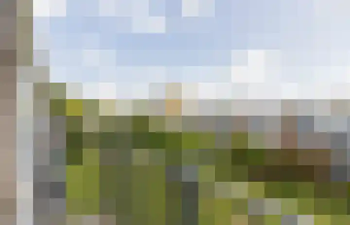 Rijnvoorde 78 Rotterdam thumbnail 18