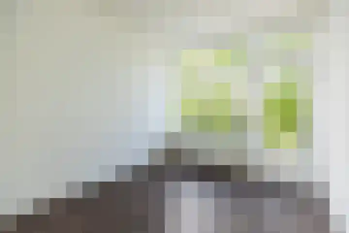 Rijnvoorde 78 Rotterdam thumbnail 4