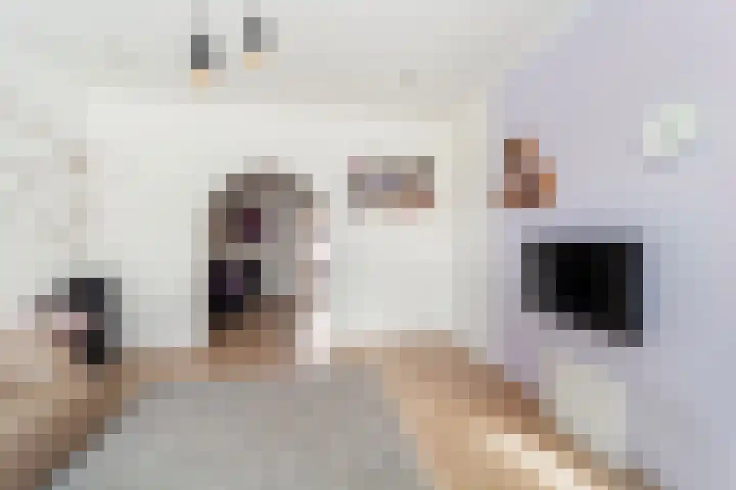 Rijnweg 10 Monster thumbnail 4