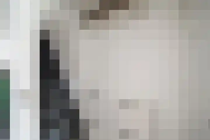 Rijnweg 122 Monster thumbnail 12