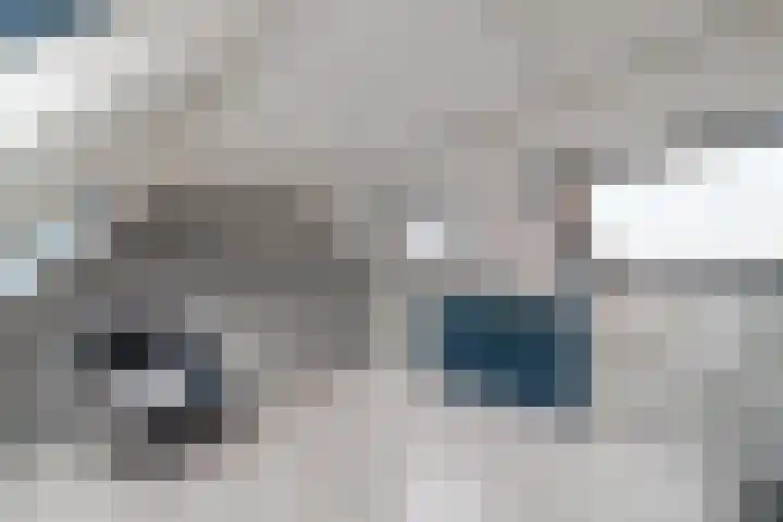 Rijnweg 122 Monster thumbnail 22
