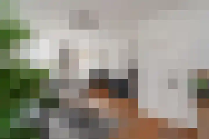 Rijnweg 122 Monster thumbnail 4