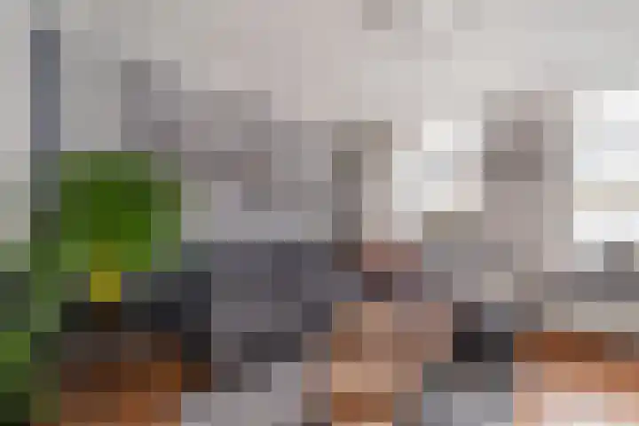 Rijnweg 122 Monster thumbnail 5