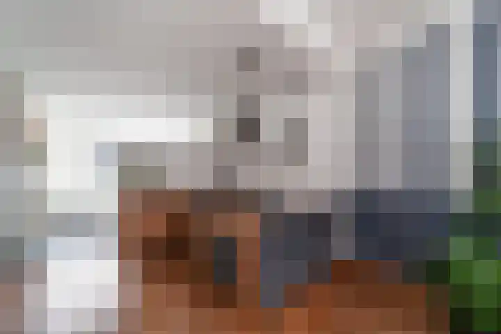 Rijnweg 122 Monster thumbnail 7