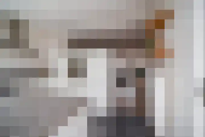 Rijnweg 122 Monster thumbnail 9