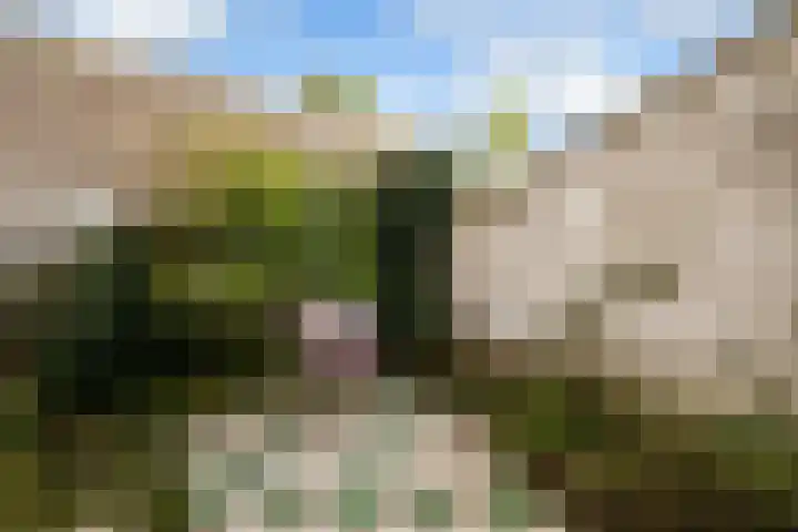Rijnweg 125 Monster thumbnail 31