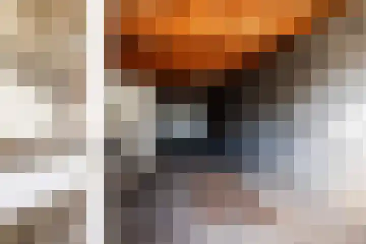 Rijnweg 125 Monster thumbnail 56