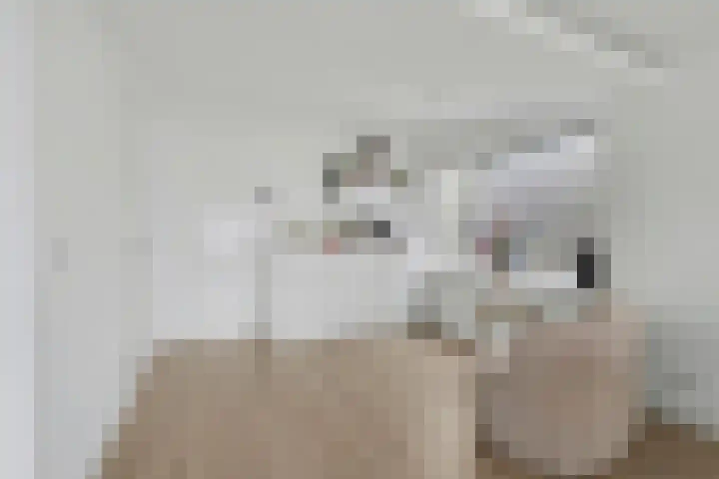 Rijnweg 140 Monster thumbnail 12