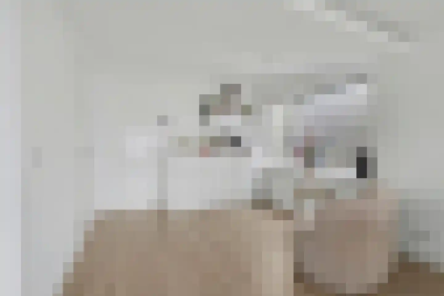 Rijnweg 140 Monster thumbnail 12