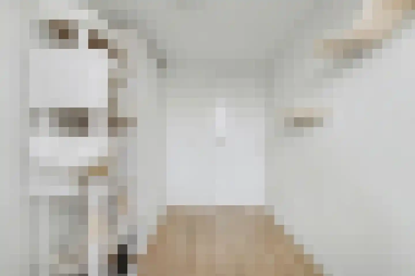 Rijnweg 140 Monster thumbnail 23