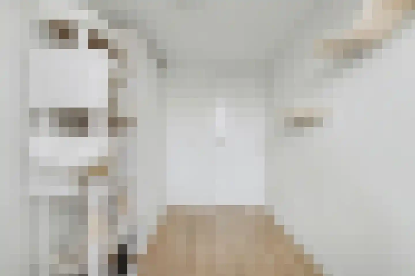 Rijnweg 140 Monster thumbnail 23