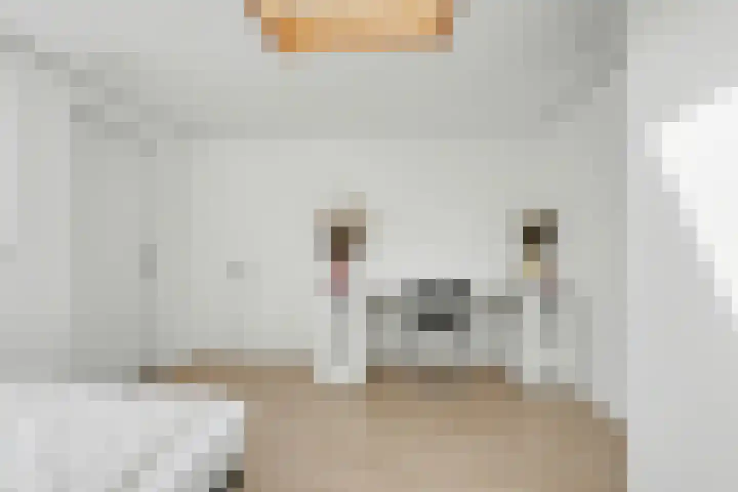 Rijnweg 140 Monster thumbnail 29