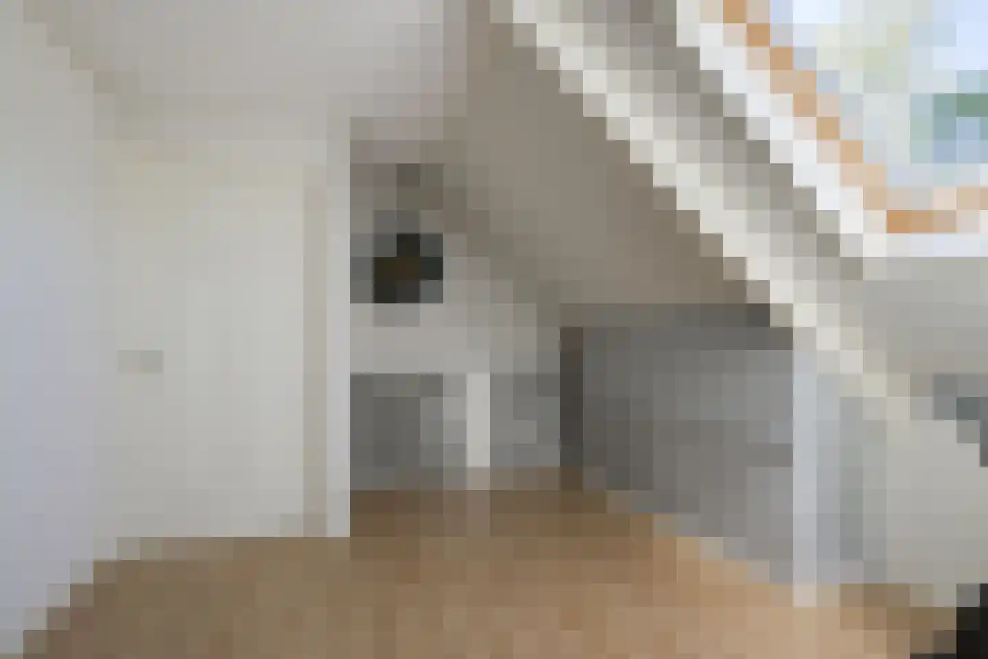 Rijnweg 17 Hengelo (Gld) thumbnail 37