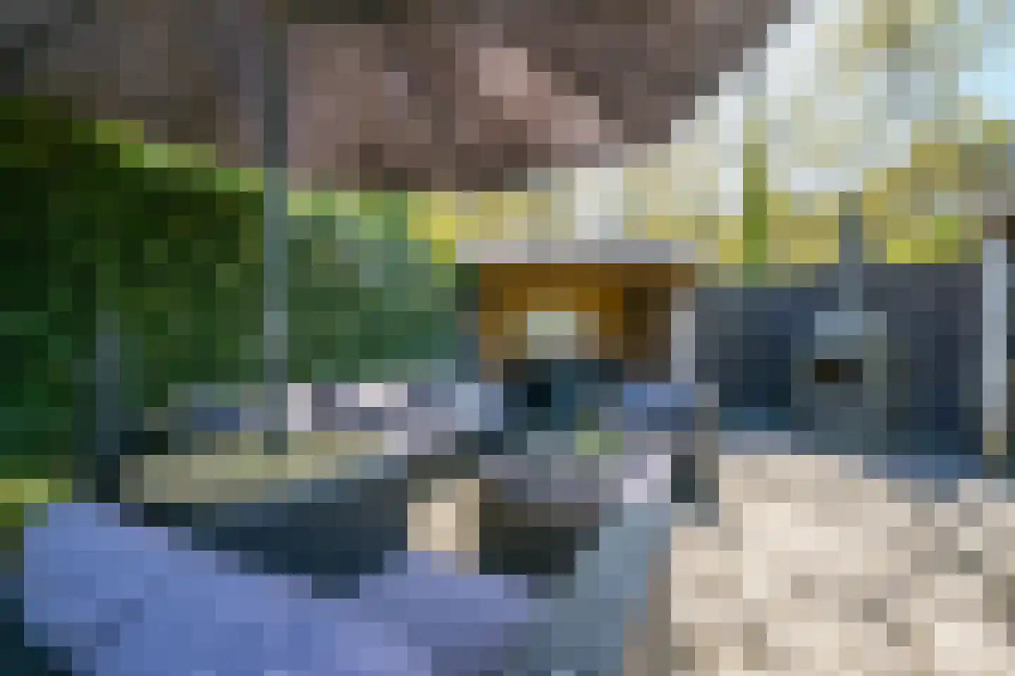 Rijnweg 17 Hengelo (Gld) thumbnail 46