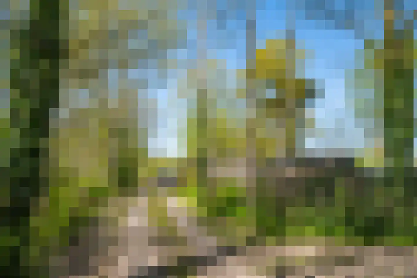 Rijnweg 17 Hengelo (Gld) thumbnail 59