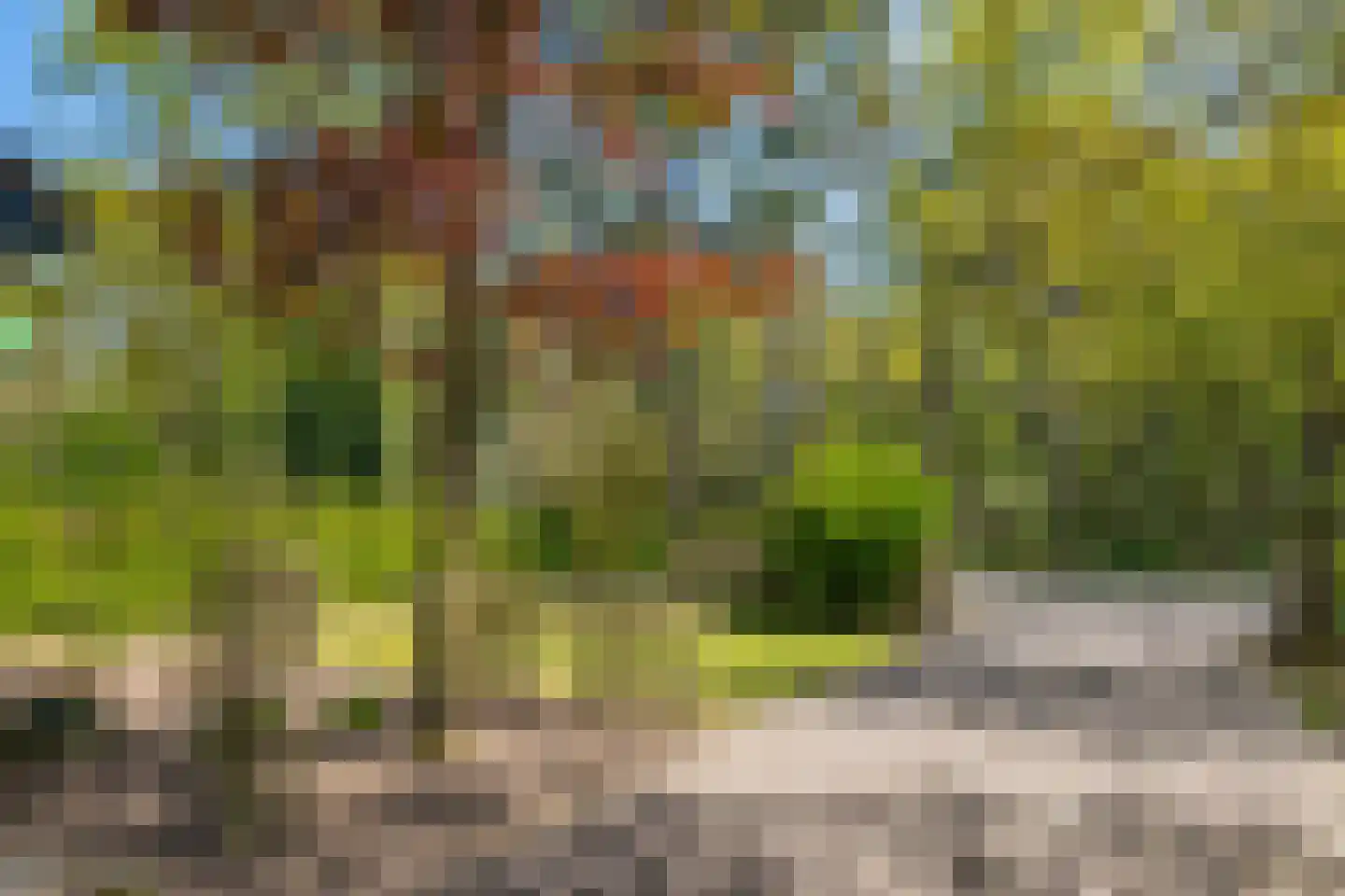 Rijnweg 17 Hengelo (Gld) thumbnail 60