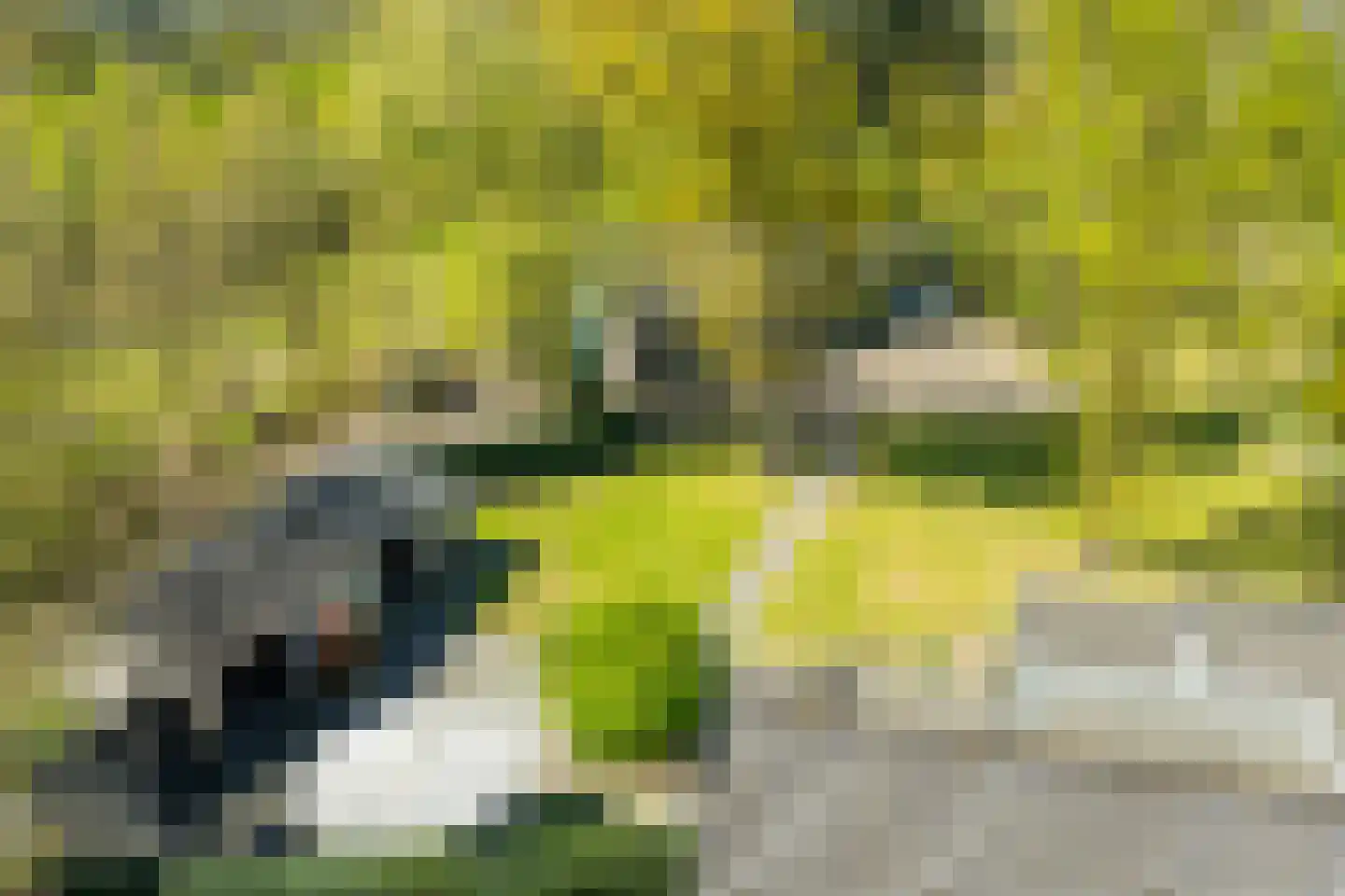 Rijnweg 17 Hengelo (Gld) thumbnail 62