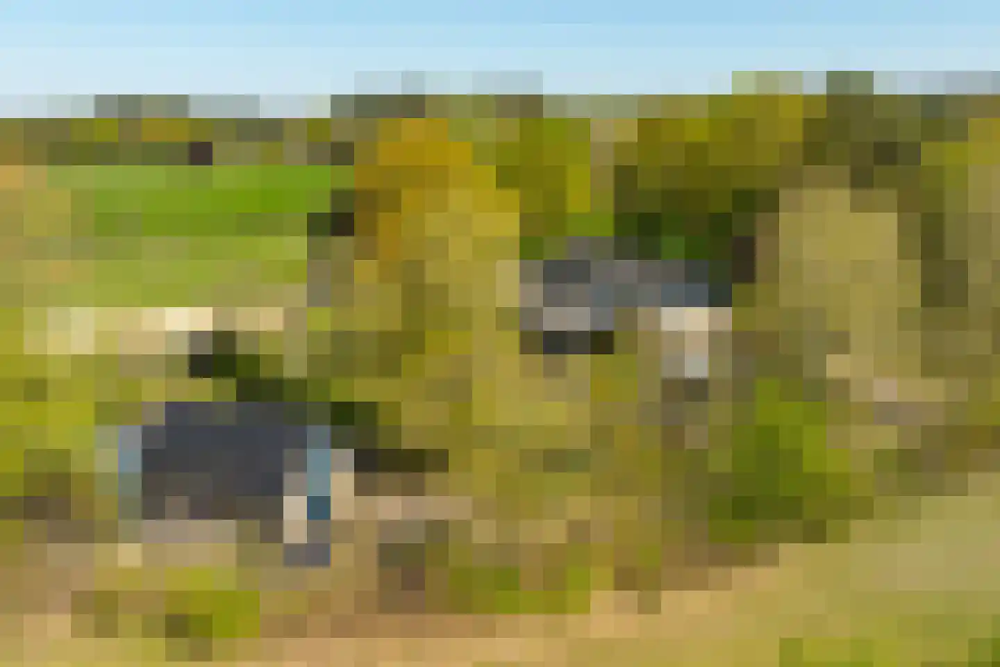 Rijnweg 17 Hengelo (Gld) thumbnail 63