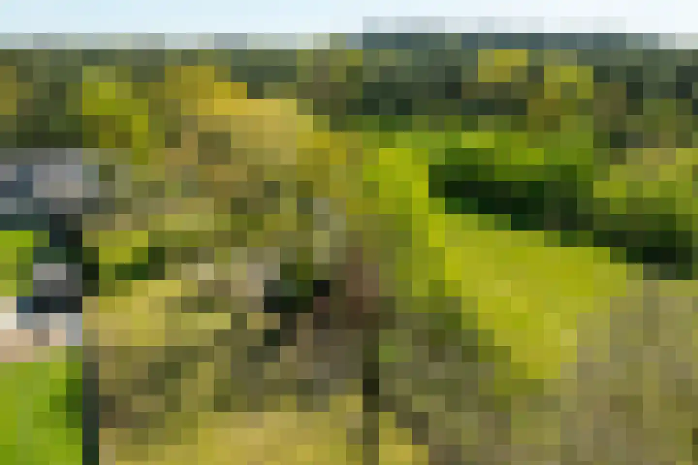 Rijnweg 17 Hengelo (Gld) thumbnail 65