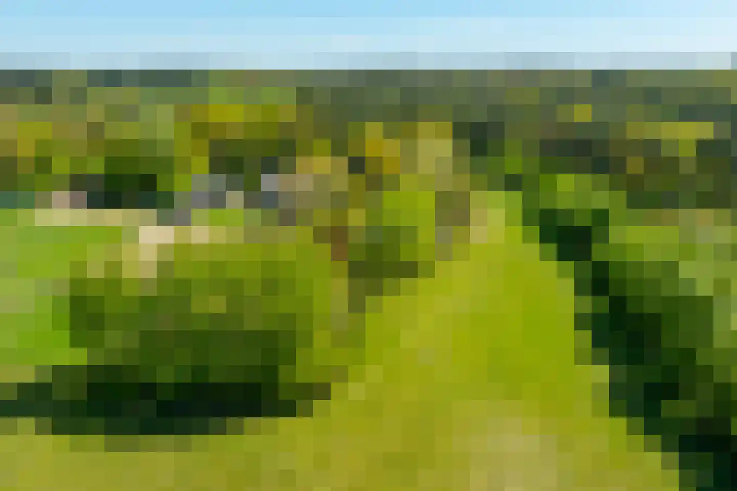 Rijnweg 17 Hengelo (Gld) thumbnail 66