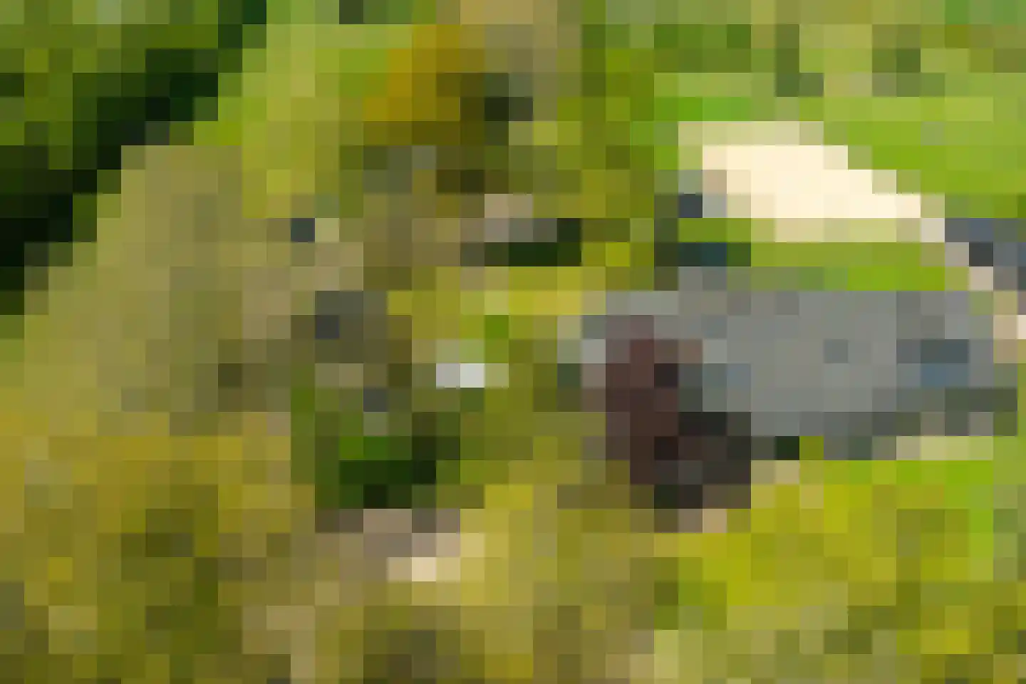 Rijnweg 17 Hengelo (Gld) thumbnail 67
