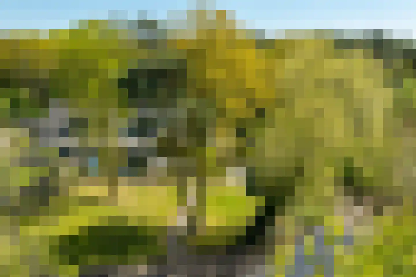 Rijnweg 17 Hengelo (Gld) thumbnail 68