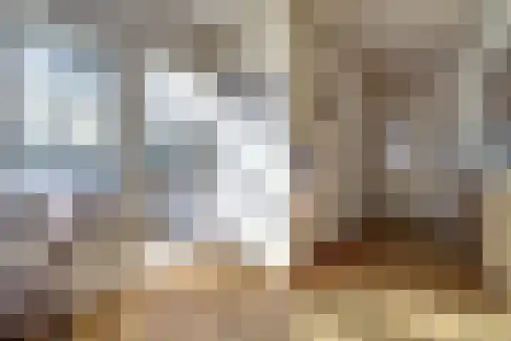 Rijnweg 211 Monster thumbnail 10