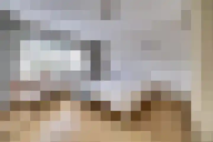 Rijnweg 211 Monster thumbnail 12