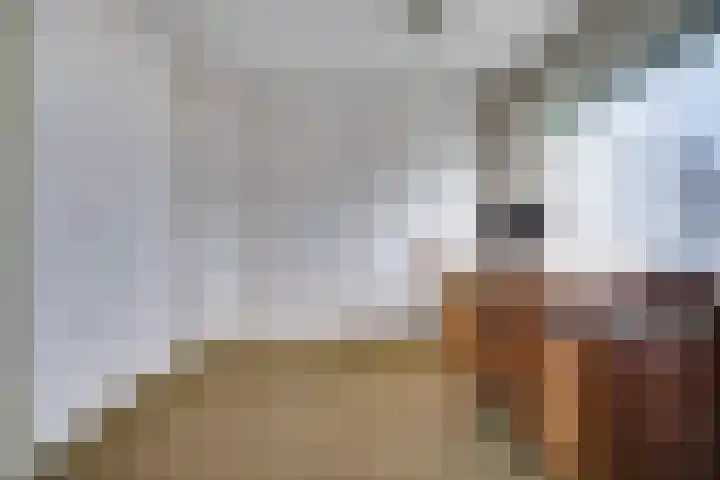 Rijnweg 211 Monster thumbnail 17