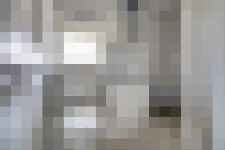 Rijnweg 211 Monster thumbnail 19