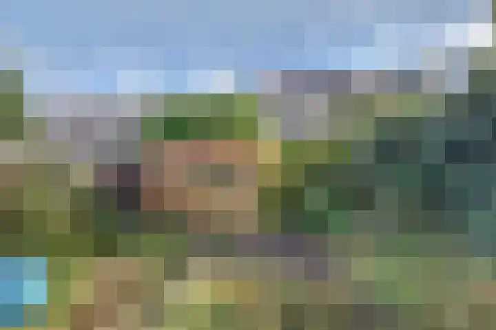 Rijnweg 211 Monster thumbnail 22