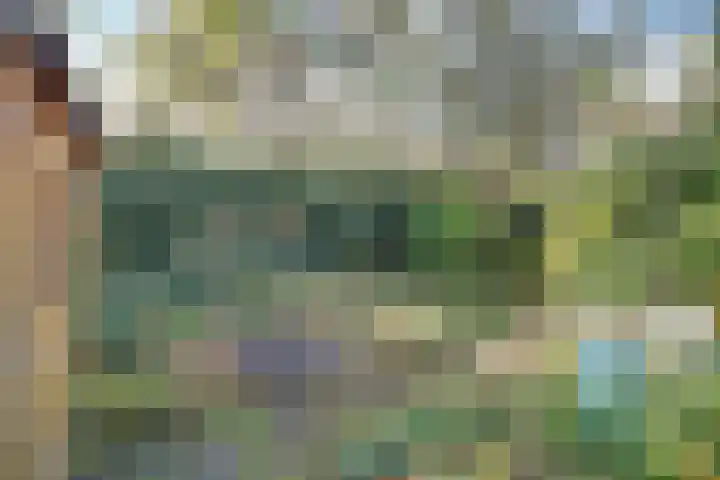 Rijnweg 211 Monster thumbnail 23