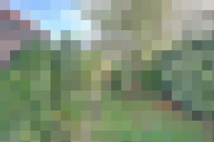 Rijnweg 211 Monster thumbnail 24