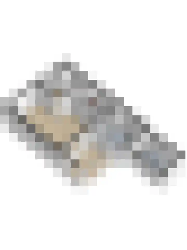 Rijnweg 211 Monster thumbnail 36