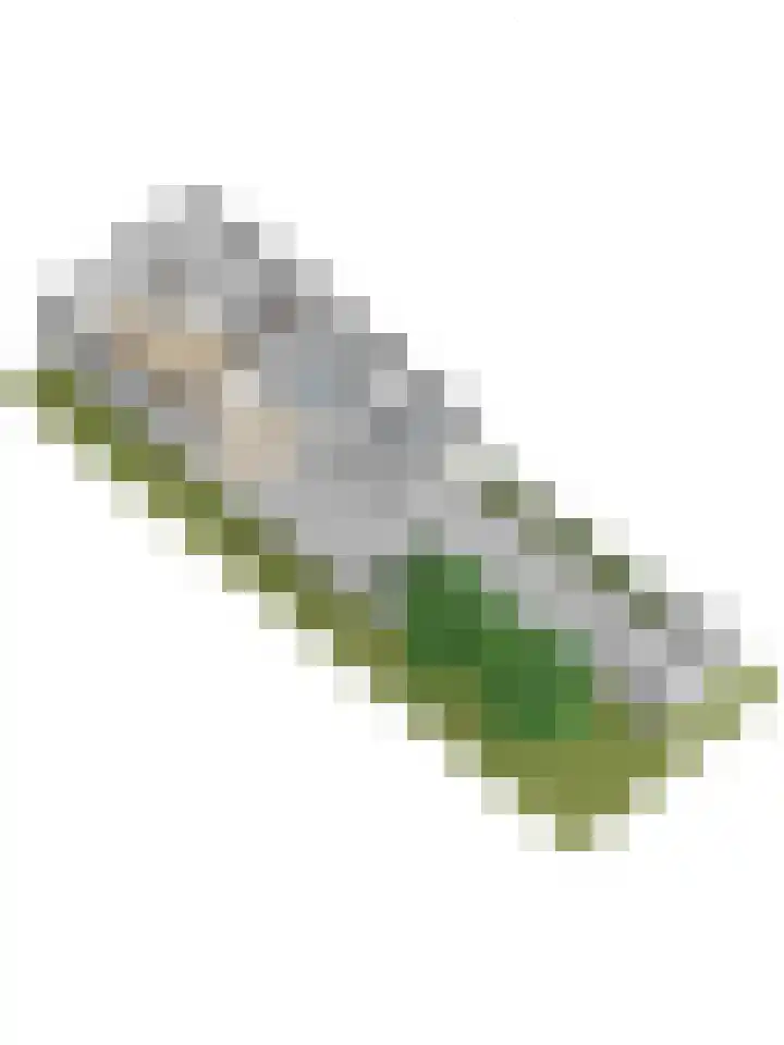 Rijnweg 211 Monster thumbnail 44