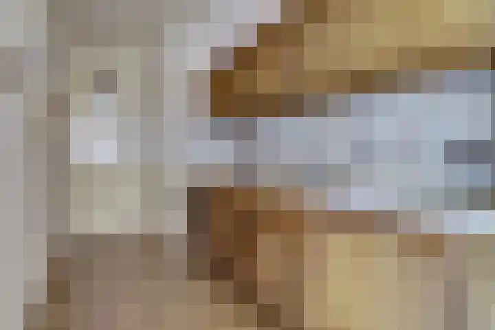 Rijnweg 211 Monster thumbnail 7