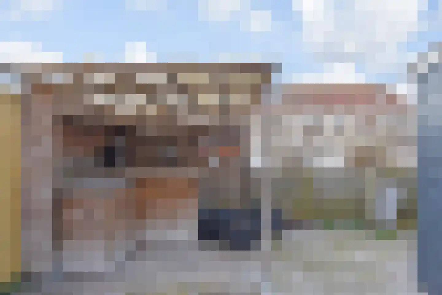 Rijnweg 212 Monster thumbnail 11