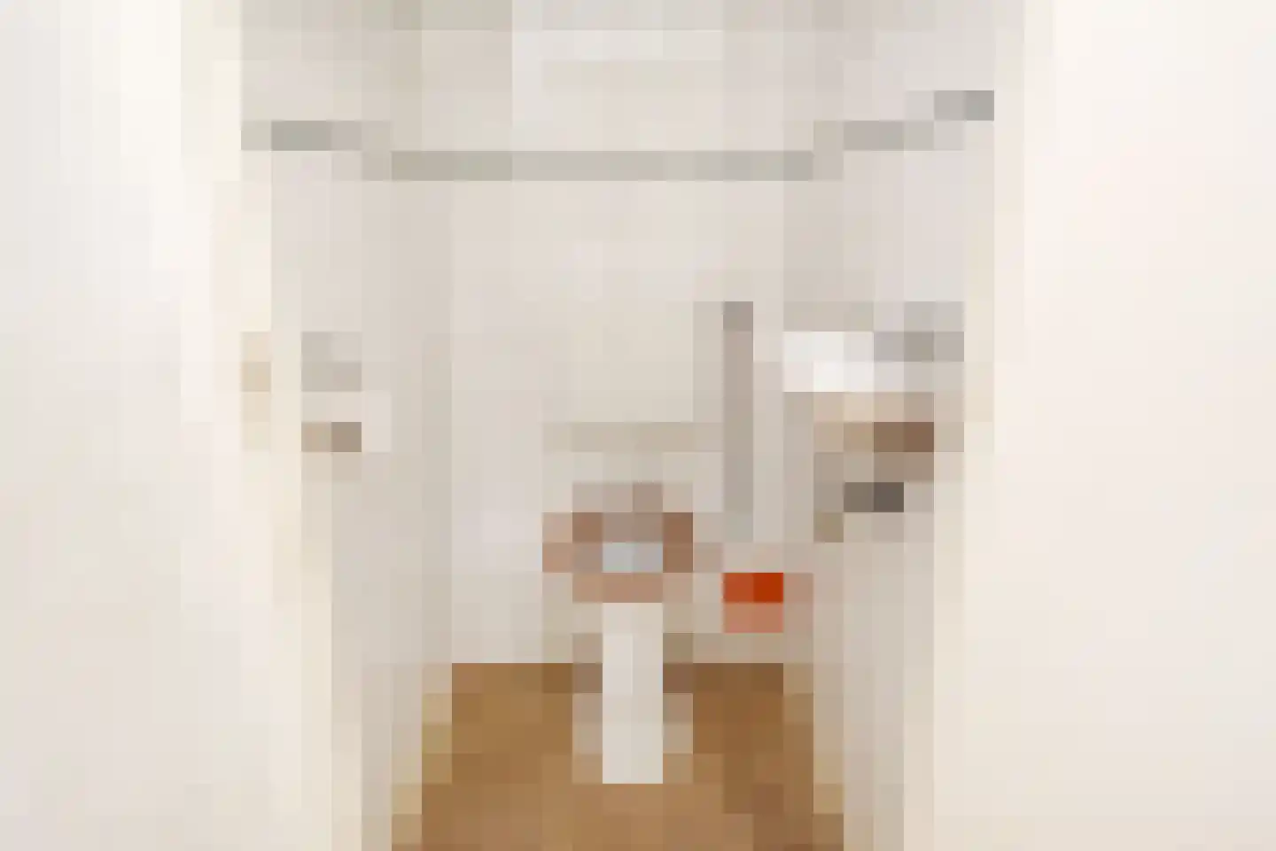 Rijnweg 212 Monster thumbnail 6