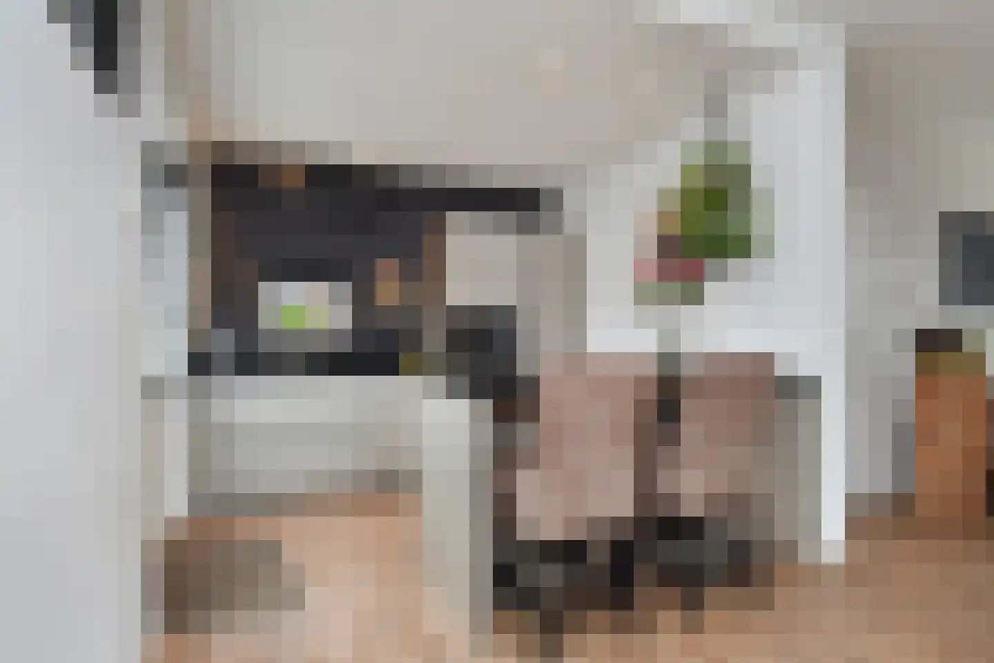 Rijnweg 214 Monster thumbnail 7