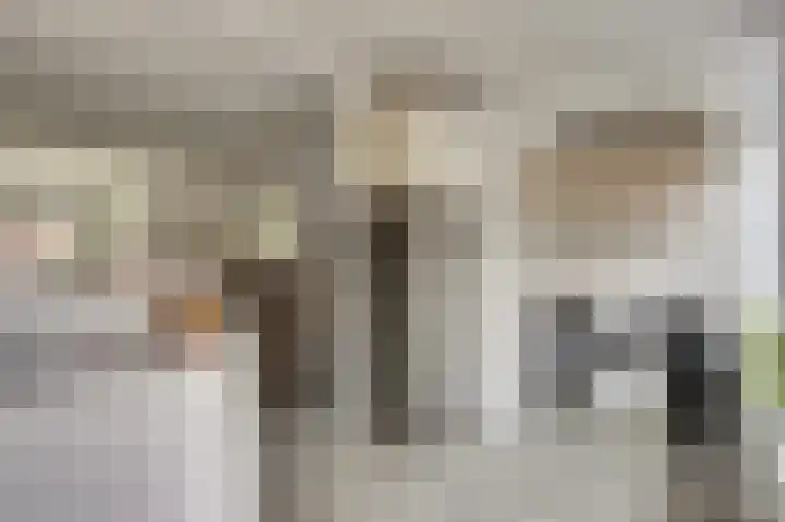 Rijnweg 22 Monster thumbnail 10