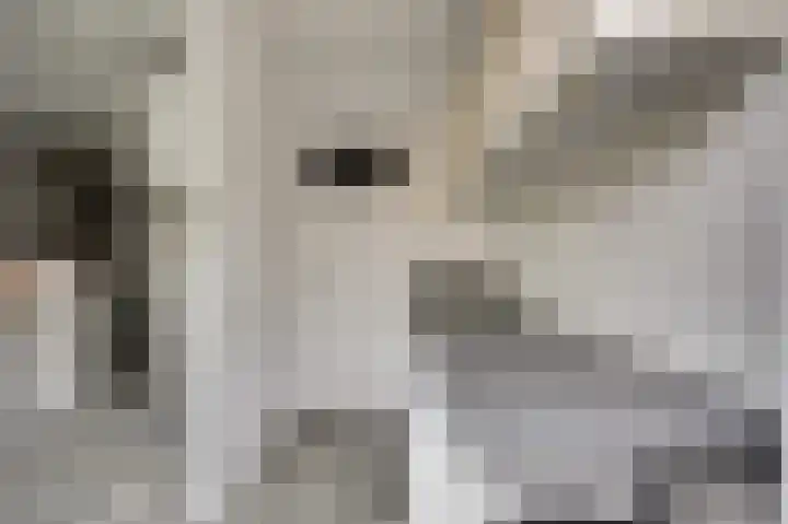 Rijnweg 22 Monster thumbnail 11