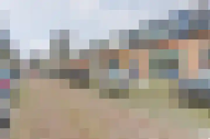 Rijnweg 22 Monster thumbnail 31