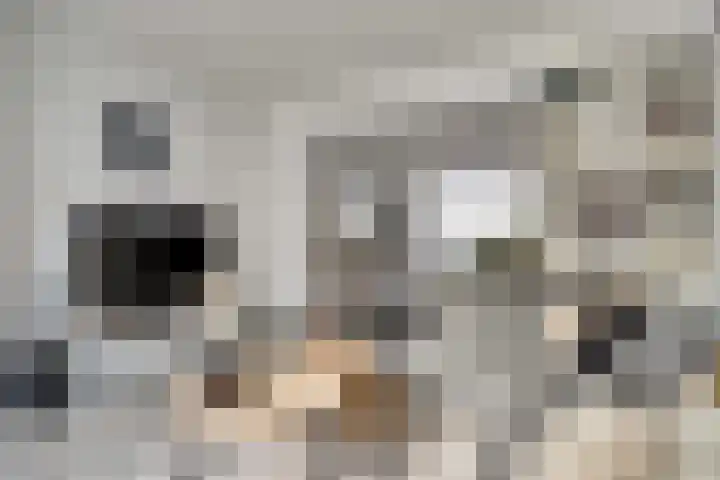 Rijnweg 22 Monster thumbnail 5