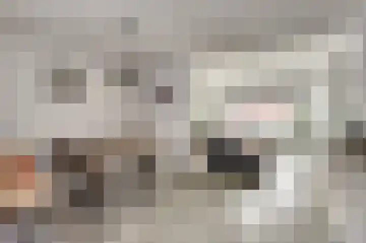 Rijnweg 22 Monster thumbnail 7