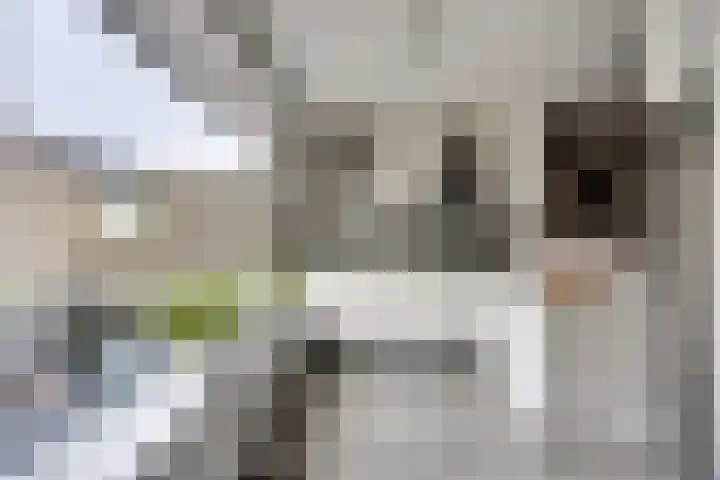 Rijnweg 22 Monster thumbnail 8