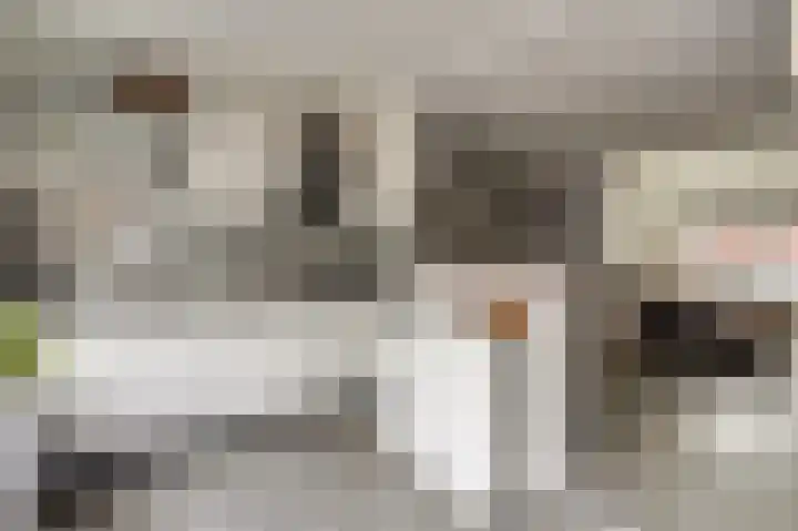 Rijnweg 22 Monster thumbnail 9