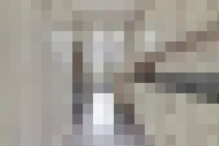 Rijnweg 232 Monster thumbnail 12