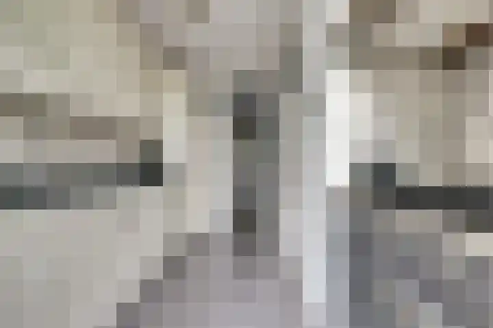 Rijnweg 232 Monster thumbnail 13