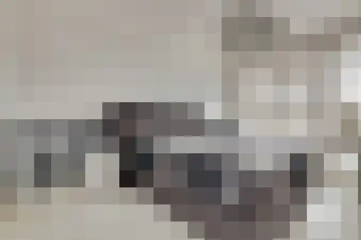 Rijnweg 232 Monster thumbnail 14