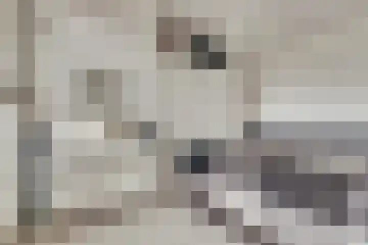 Rijnweg 232 Monster thumbnail 15